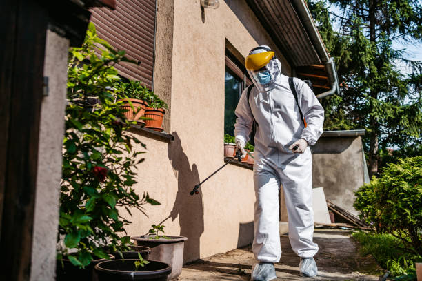 Best Bed Bug Extermination  in North Industry, OH