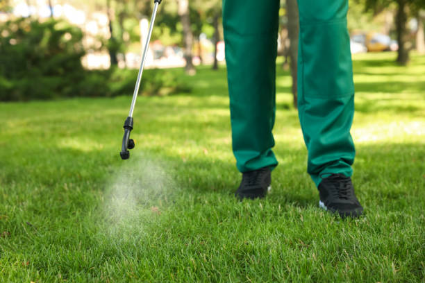 Best Bed Bug Extermination  in North Industry, OH
