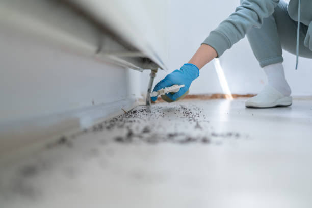 Best Emergency Pest Control  in North Industry, OH