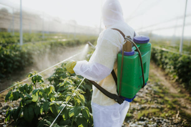 Best Pest Prevention Services  in North Industry, OH